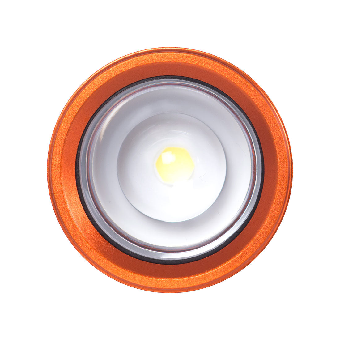 Intensity 545 LED Hand Torch