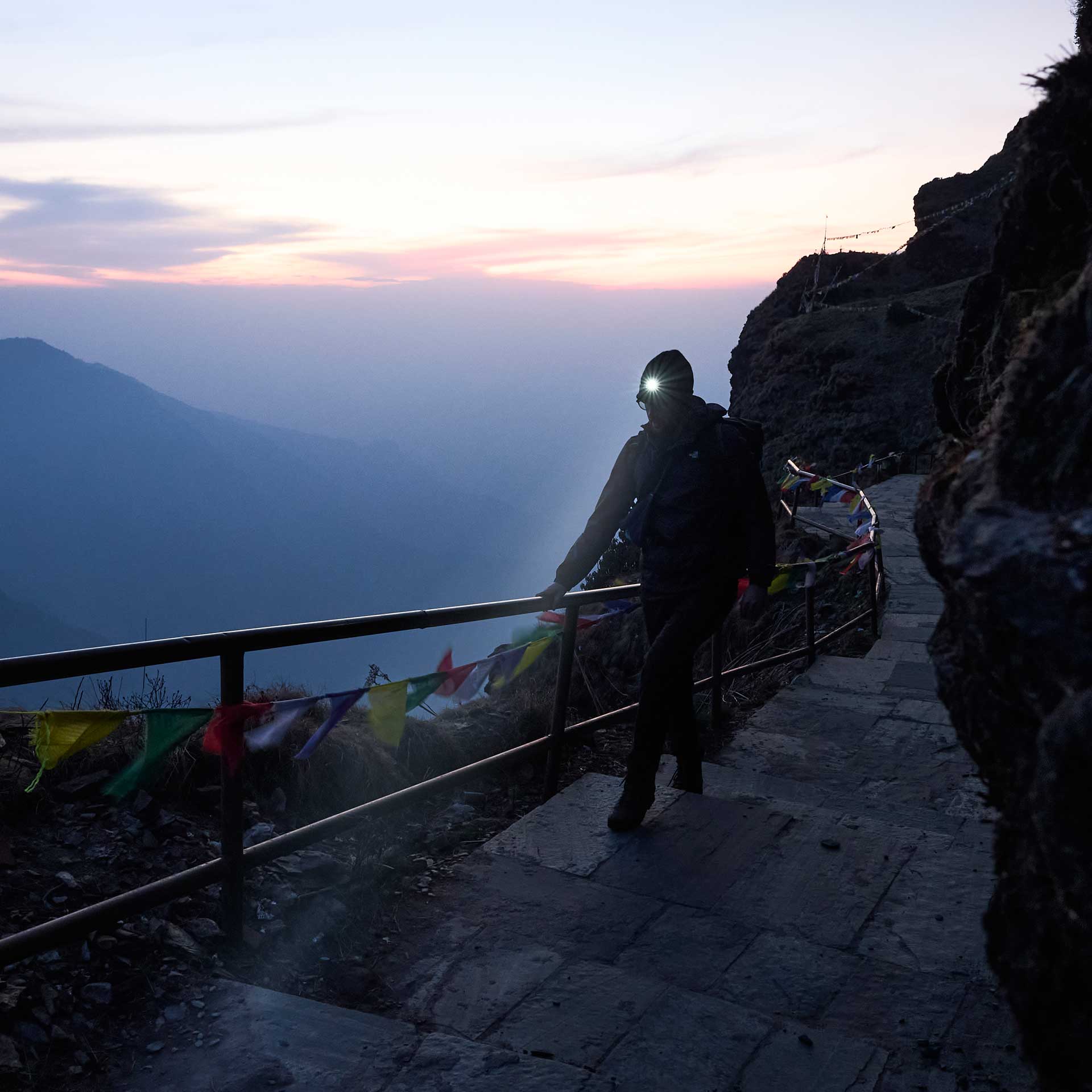 Intensity 155 LED Head Torch