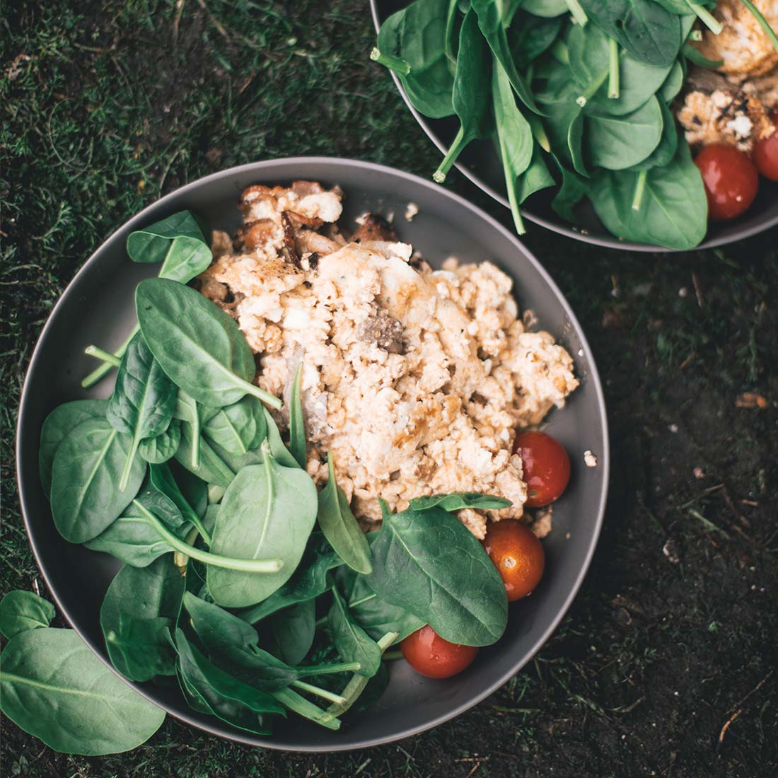 Titanium Camping Plate