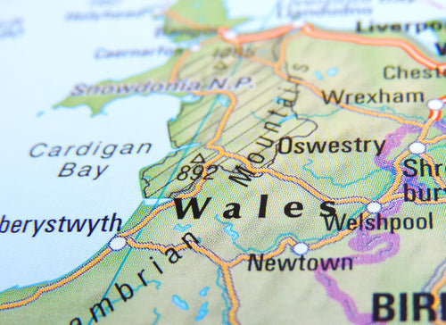 Quickfire Welsh: an outdoorperson’s guide by Dan Aspel